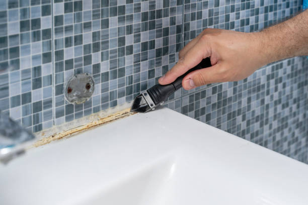 Best Attic Mold Removal  in Rson, CA