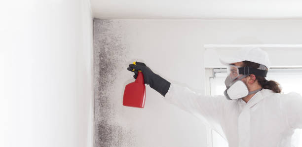 Best Affordable Mold Removal  in Rson, CA
